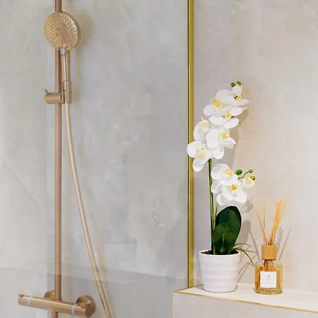 Lägenhet Kotzebue - Kalamaja Luxury - Bold & Refined *